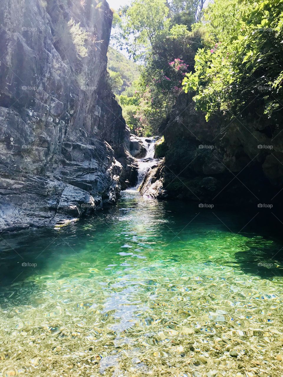 Beautiful day in the canyons in Marbella. Buy it for five dollars? I would😉 