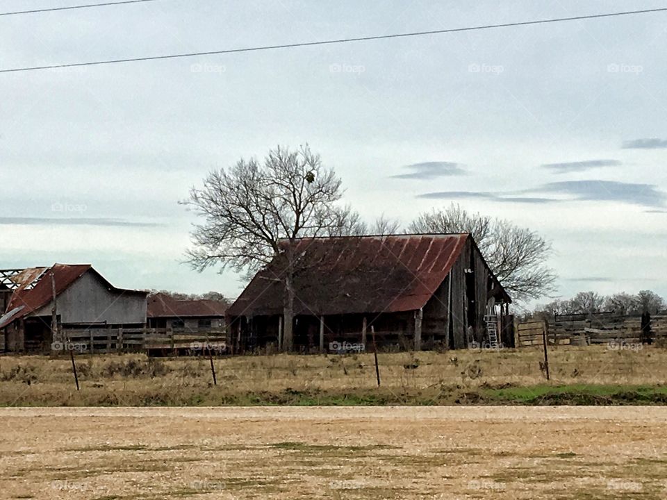 barn