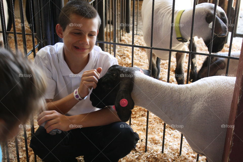 boy with pet. sheep