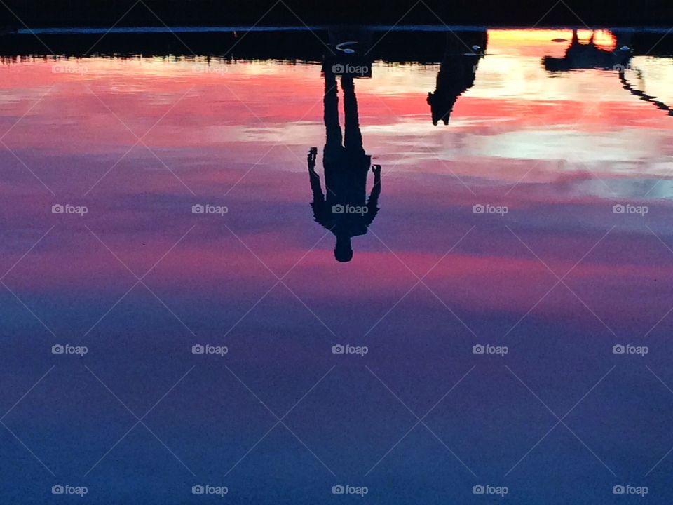 Silhouette of a man and his dog in a pool