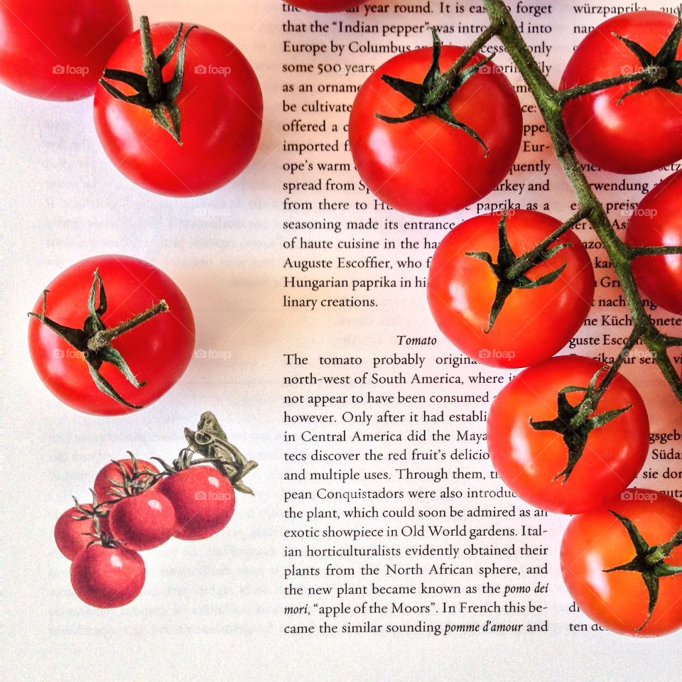 Fresh tomatoes . Fresh red tomatoes on a tomato book