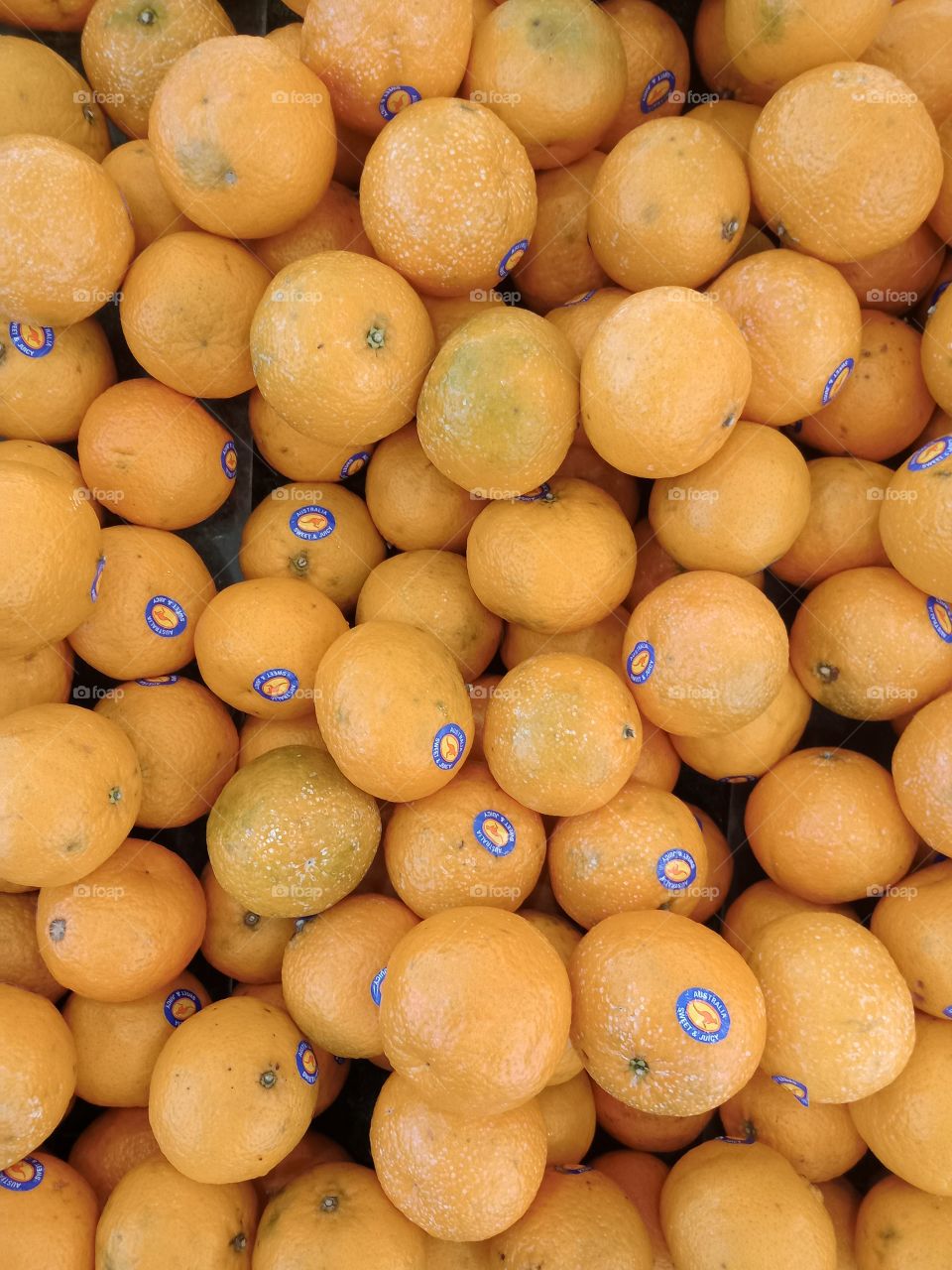 Juicy oranges welcome you