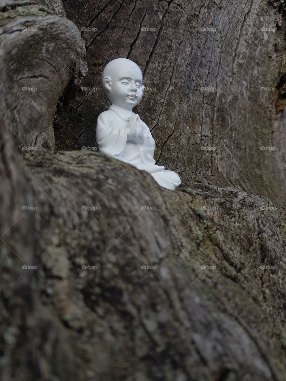 Little Buddha in Tree Mountain