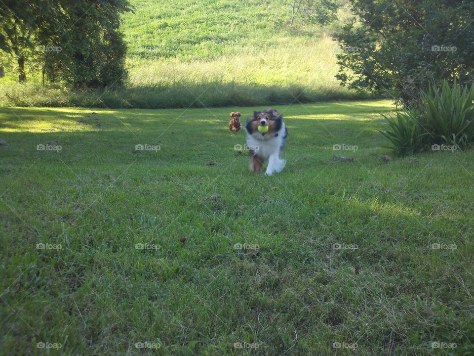 make a break for it!