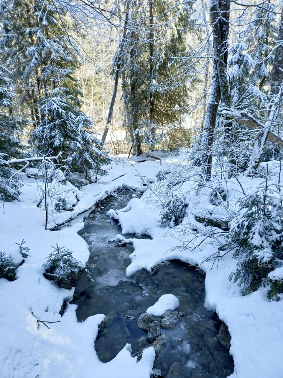 Stream in the Snow