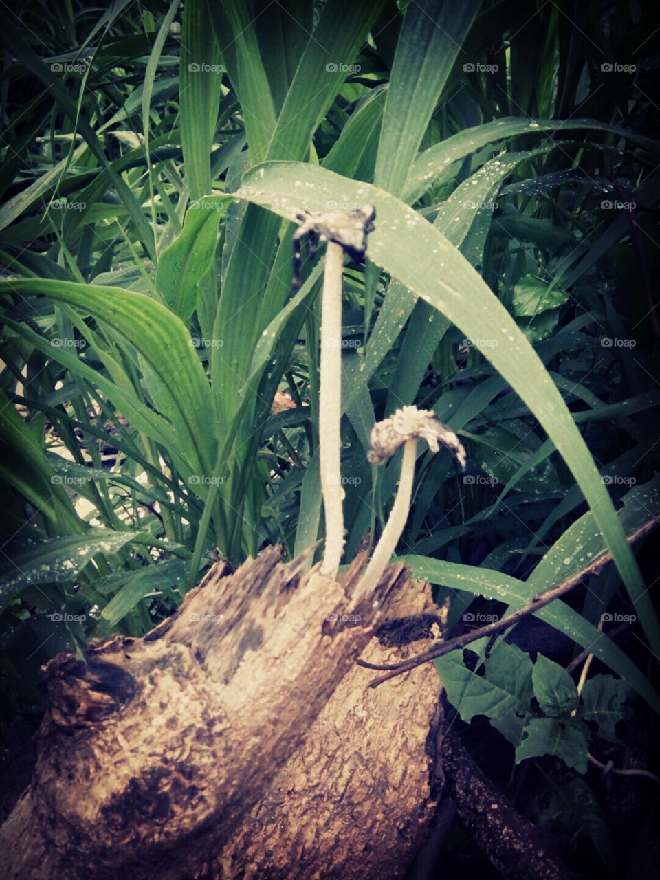 A great photo,a photo for everyone,a memorable photo,a no. photo,a photo to cherish,a beautiful photo,a great photo for the best people,an evergreen photo,a photo to remember for years, the best result of great photography