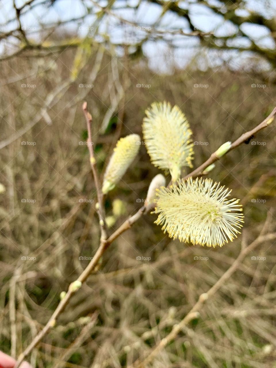 This is spring ! ☀️
