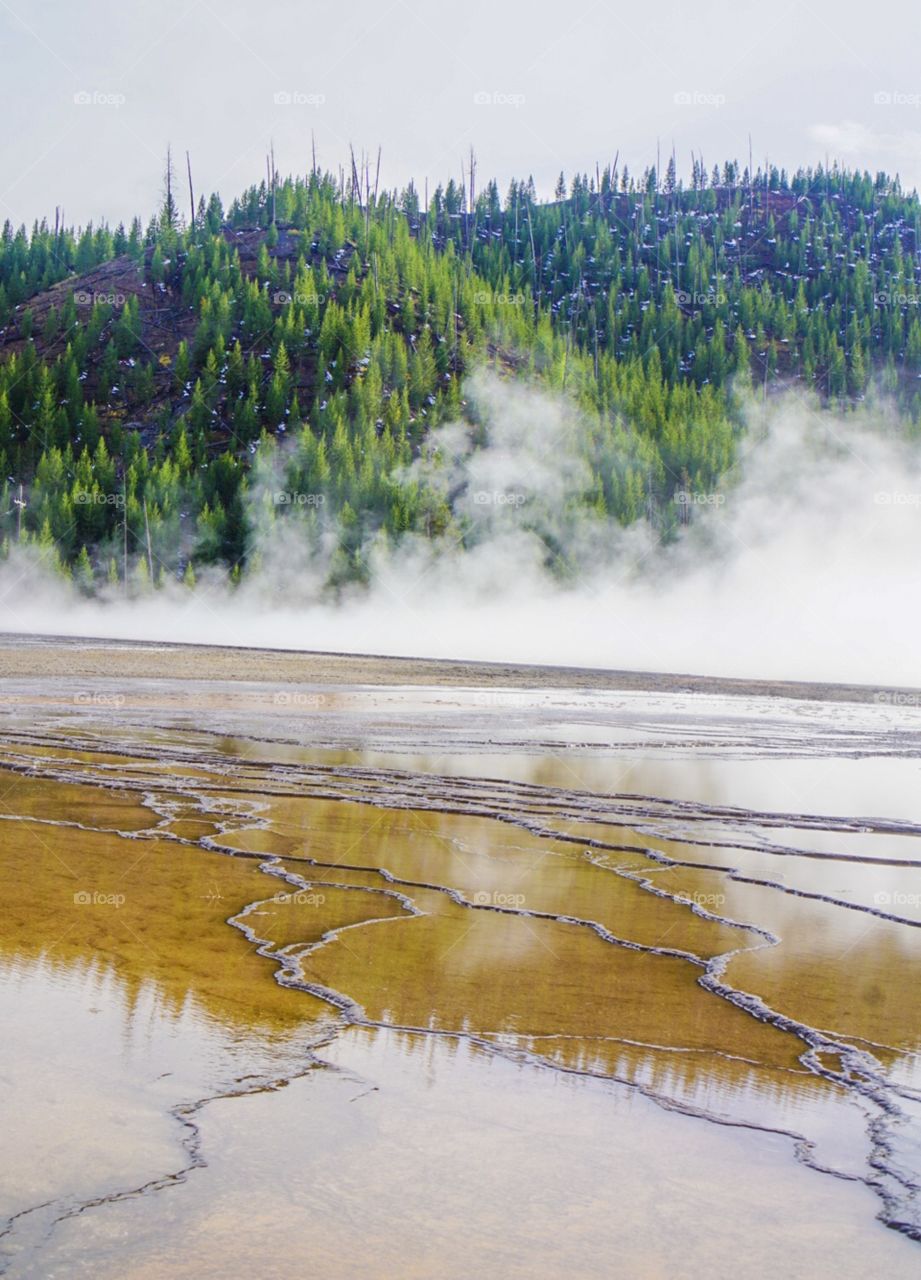 Yellowstone Hot Spring