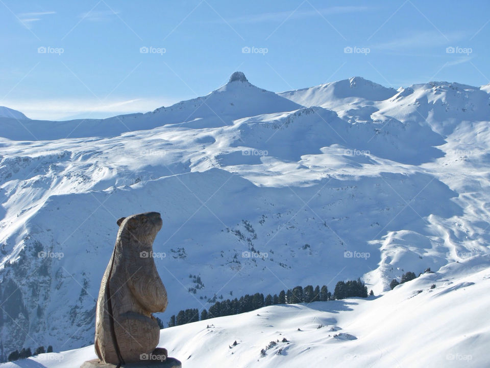 Wooden marmot statue