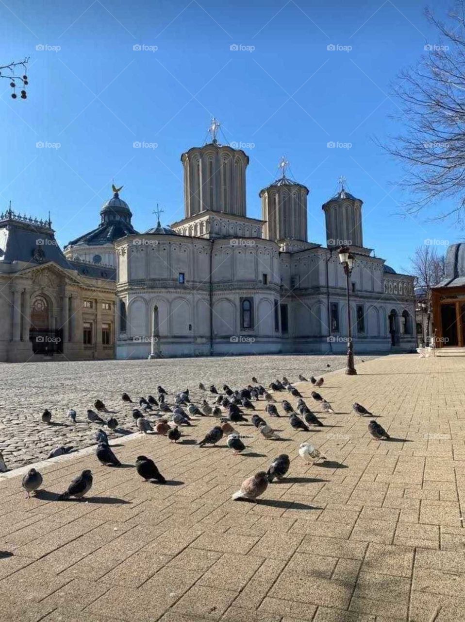 The Orthodox Patriarchal Cathedral of Bucharest