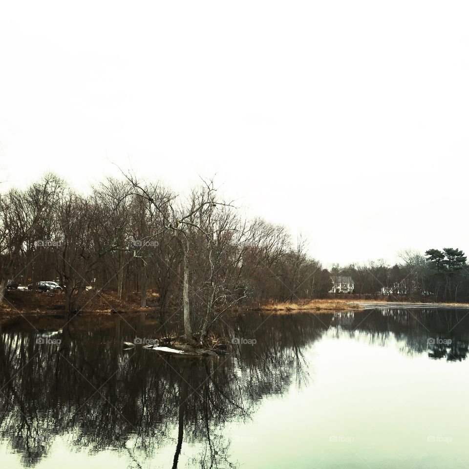 Water, Reflection, Lake, Tree, Landscape