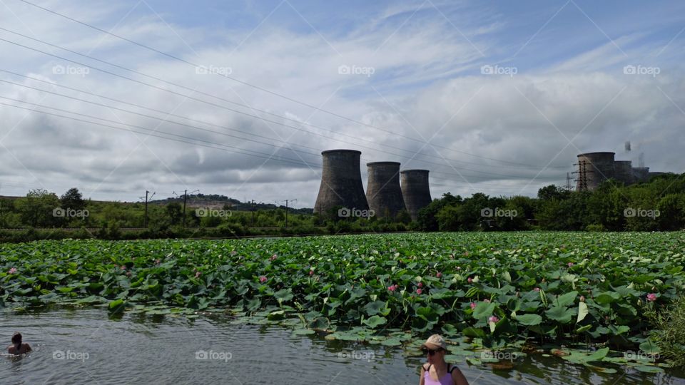 Русская электростанция дополняется прекрасным цветением лотоса