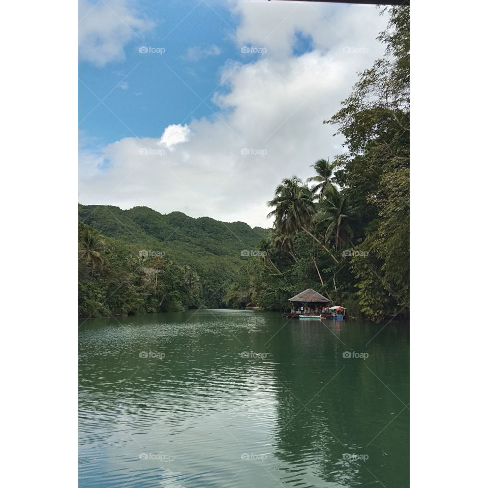 My view while having meal in the middle of the river. Experience this in Loboc River, Bohol, Philippines.