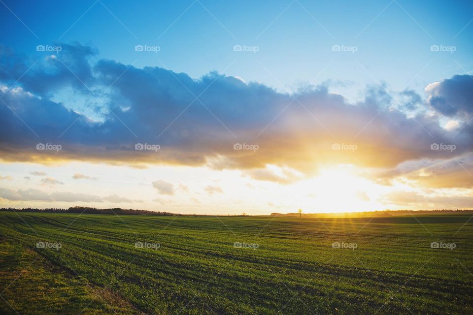 countryside in the morning