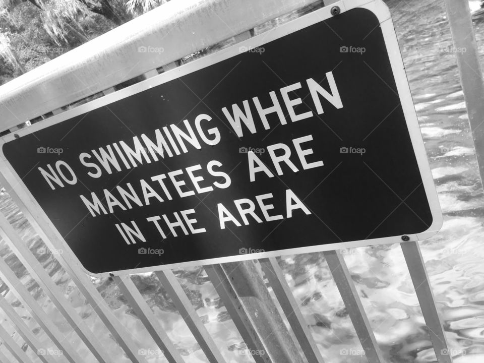A sign that says no swimming when manatees are in the area at a springs