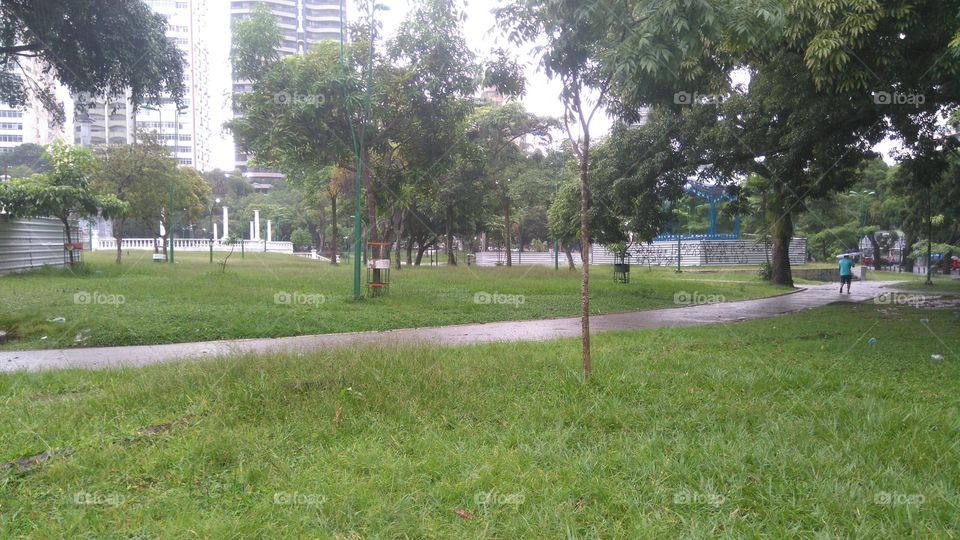 rain in the park