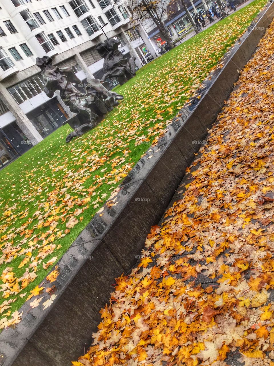 Autumn in Rotterdam 
