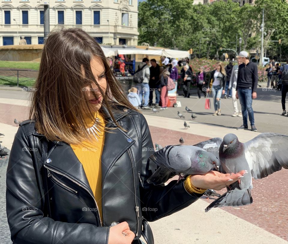 Les pigeons de la plaça Catalunya