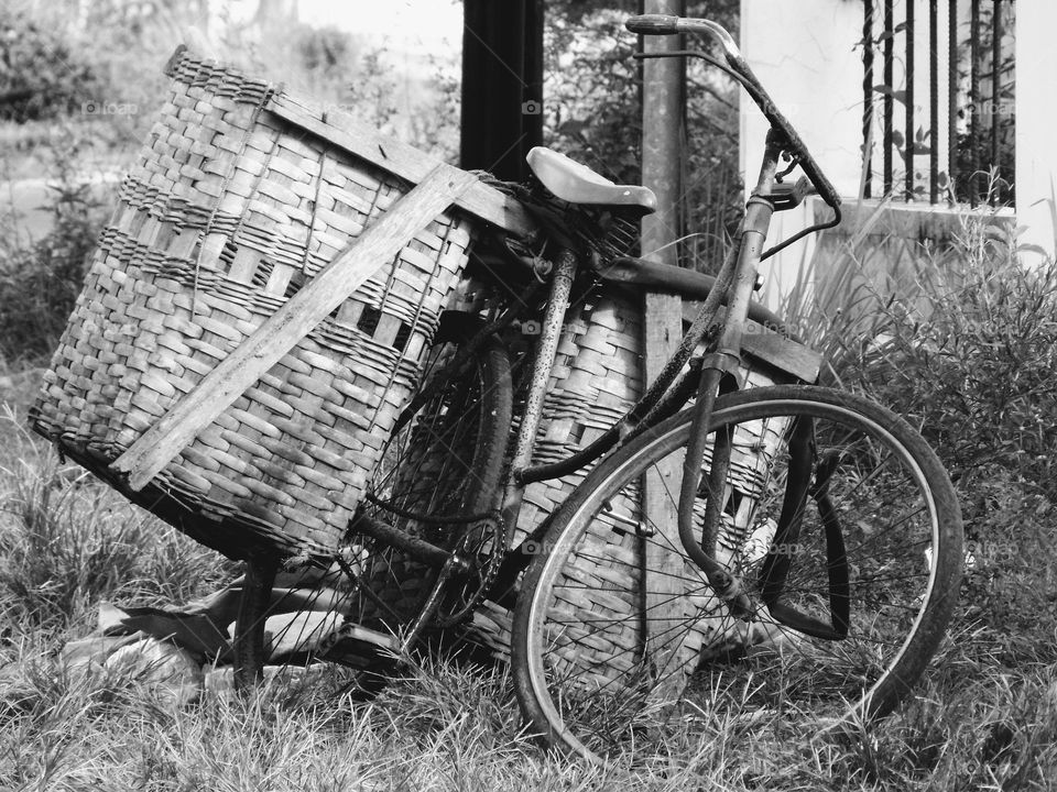 Old bicycle