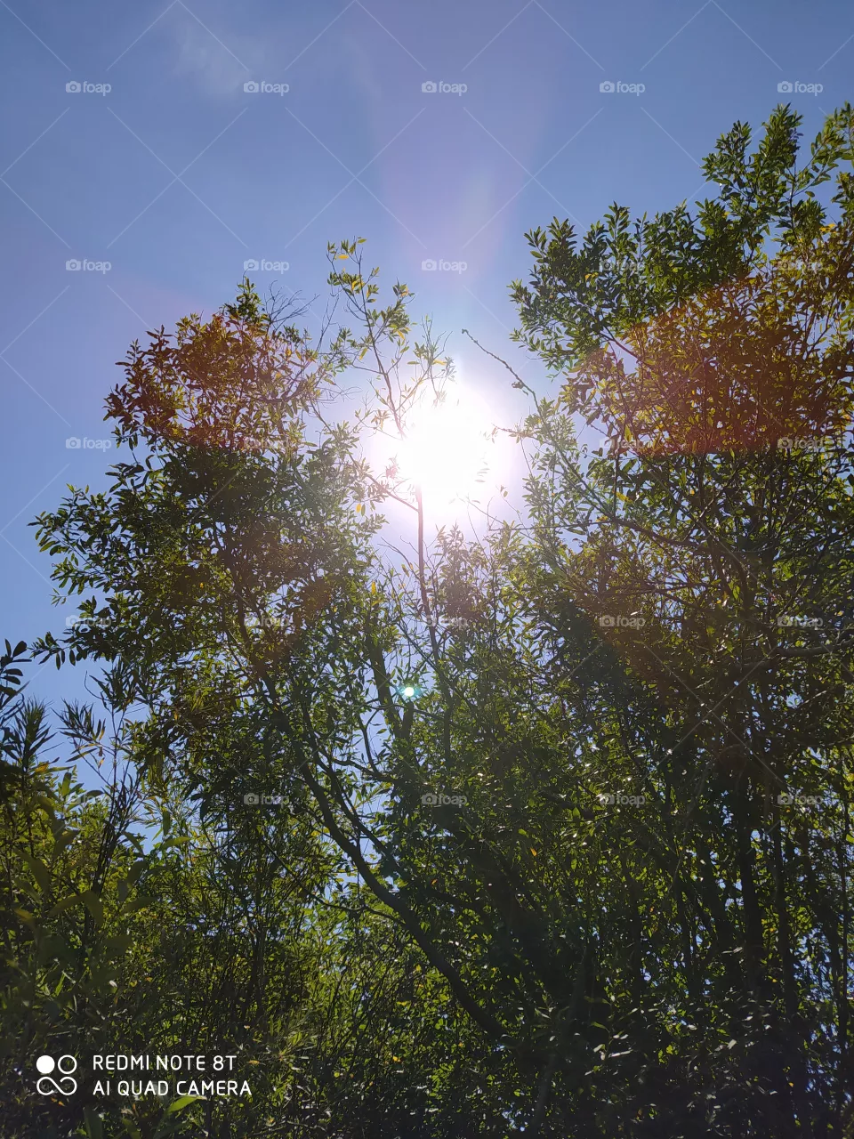 the sun