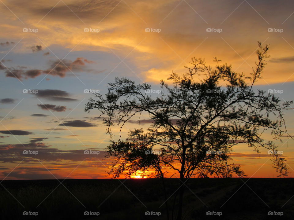 Watching the sun peeping through a tree, set in a multitude of colors, while sitting in the grass and enjoying the field around you.
