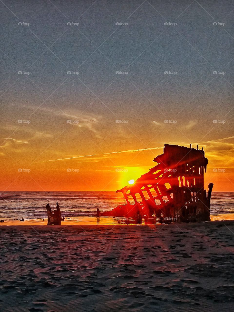 the wreck of the Peter Iredale