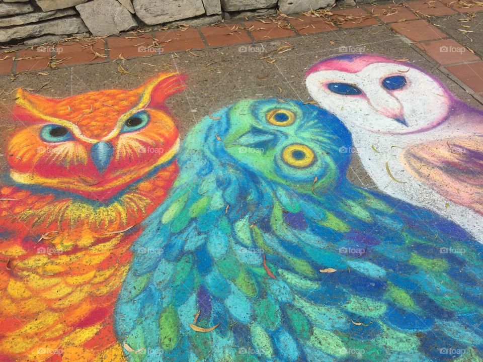 Owl Street Art