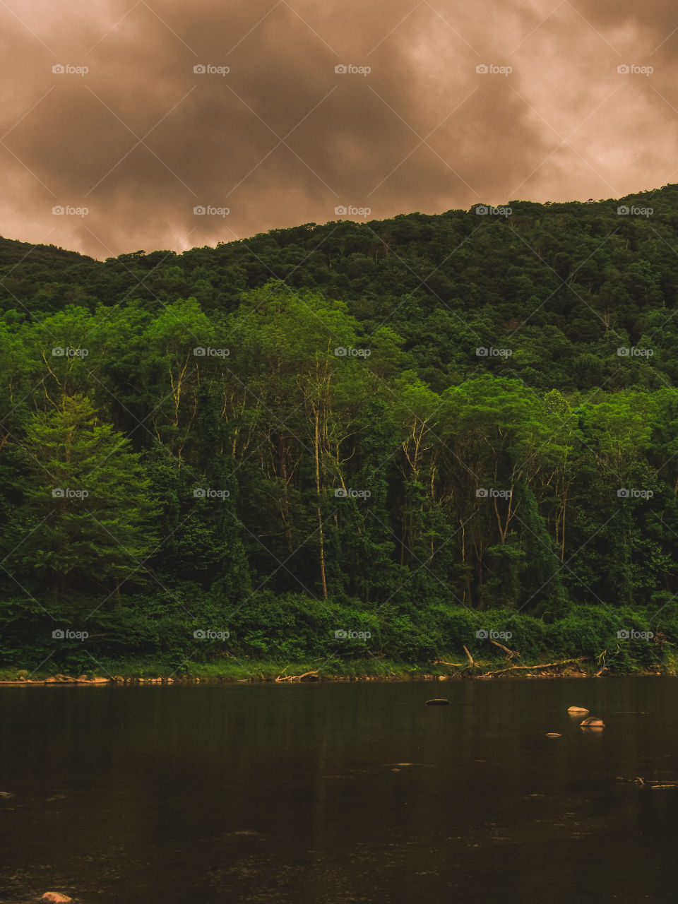 Esopus Creek, New York, sun, sky, clouds, mountains, river, nature summer, top of the mountain , Landscape, view, panoramic view, forest, woods, pond, lake, river, 