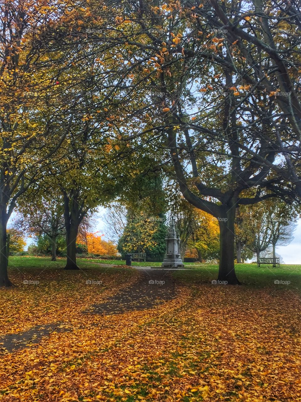 Autumn walks in the park