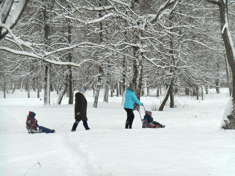 Snow, Winter, Cold, Ice, Snowstorm