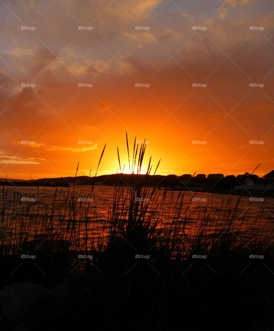 Scenic view of lake during sunset