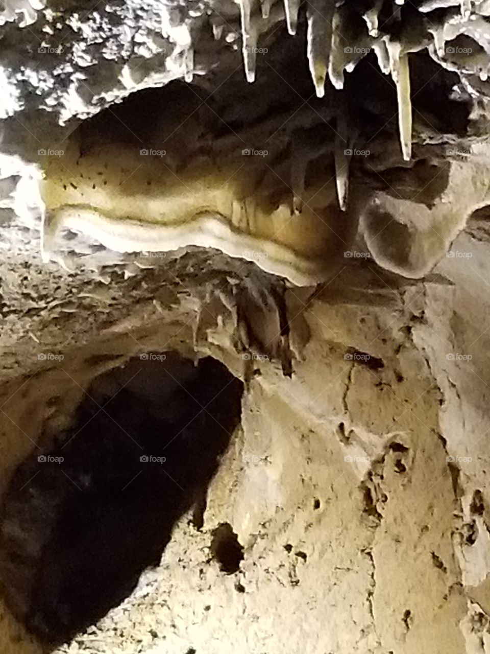 cave bacon