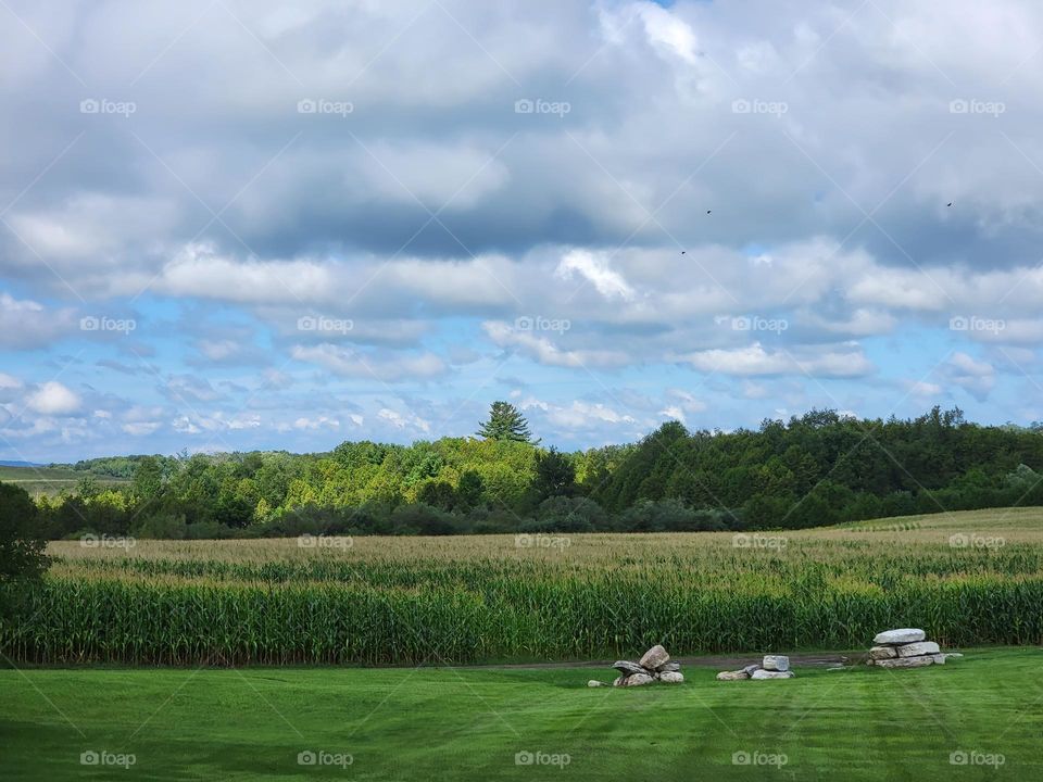 green open field with rolling hills & forest in the background