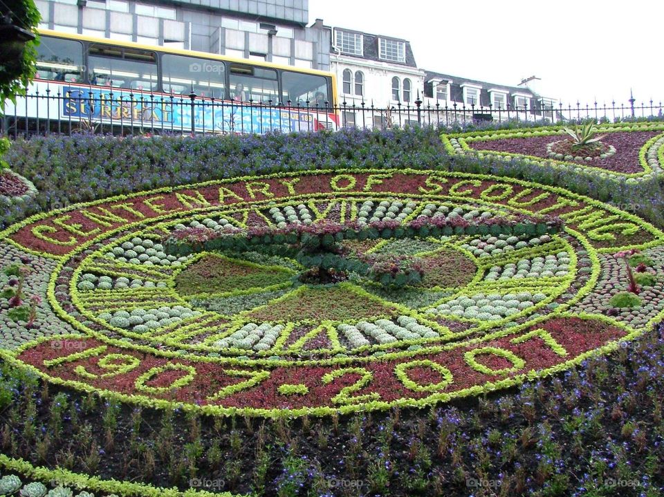 Floral clock 