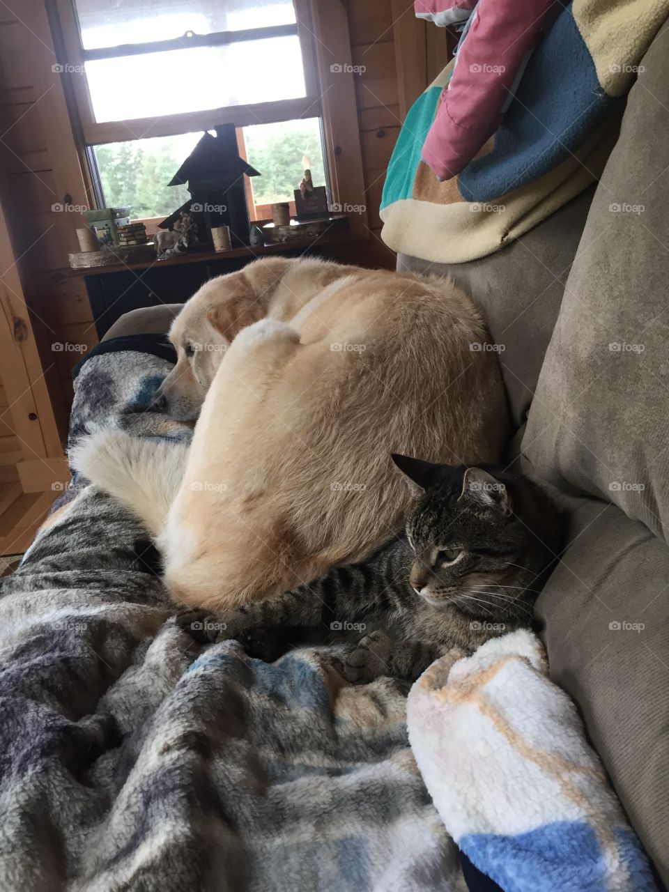 Sadie sitting on Noah 