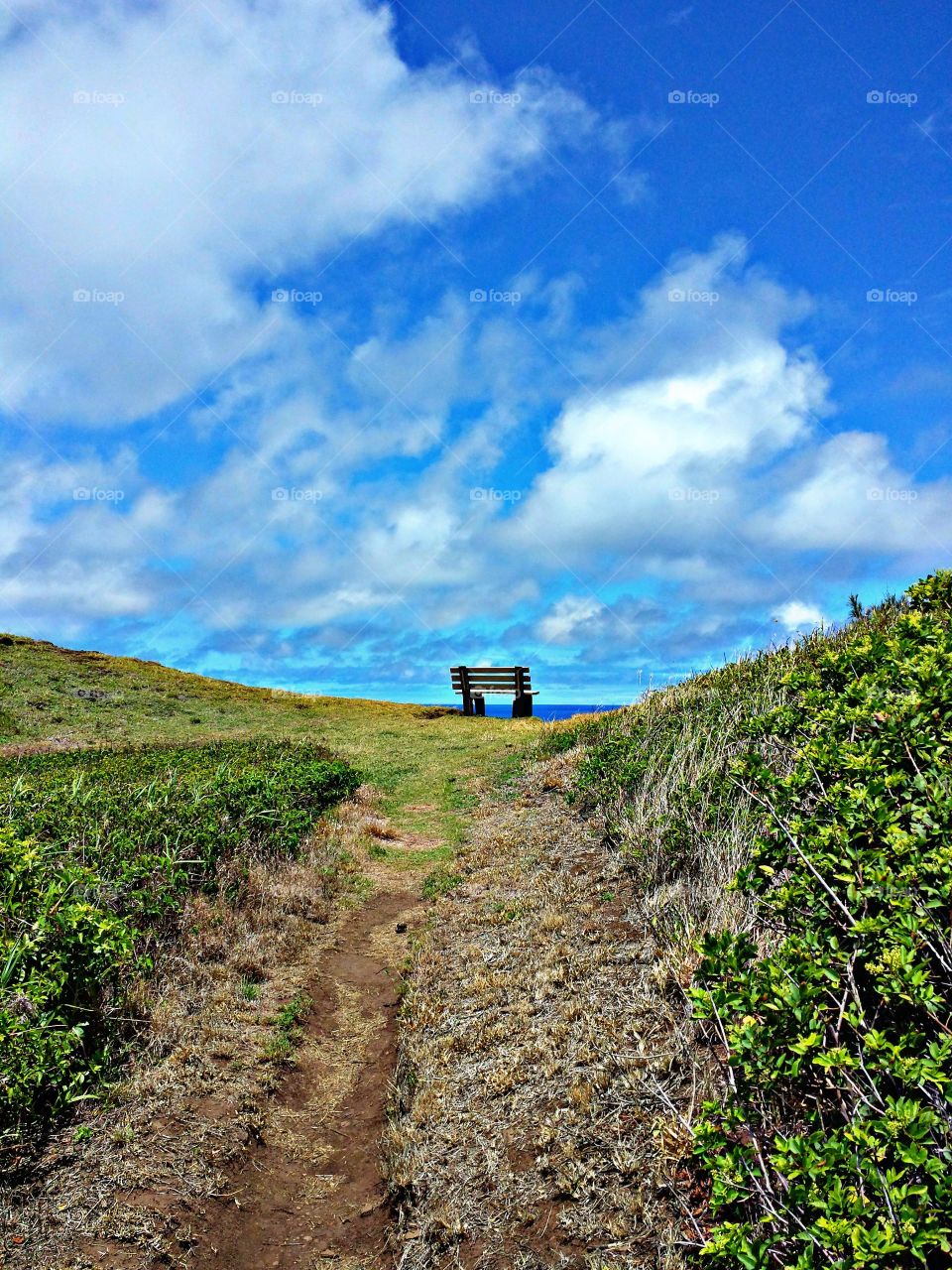 View of dirt road on beach