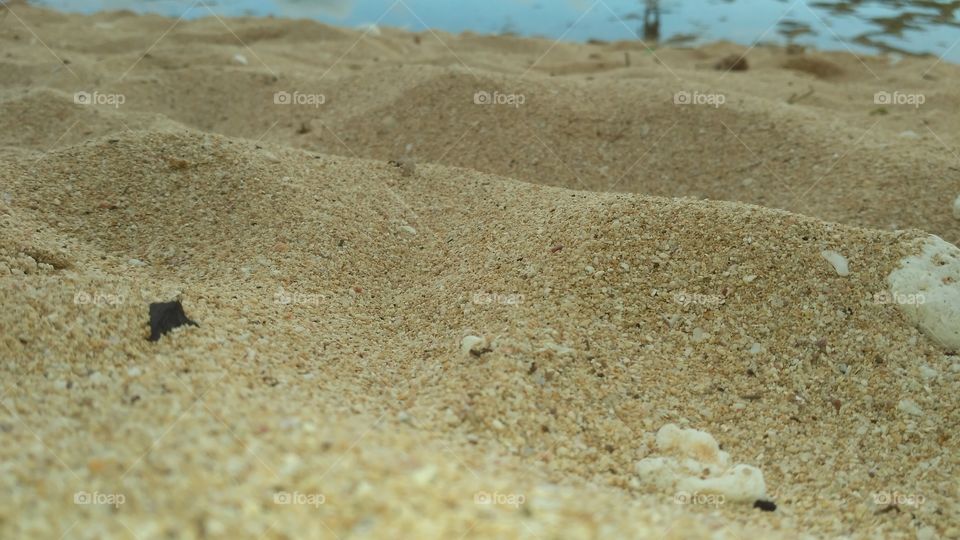 the sand
