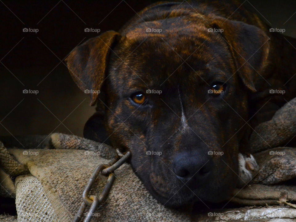 save a soul from the teeth of death