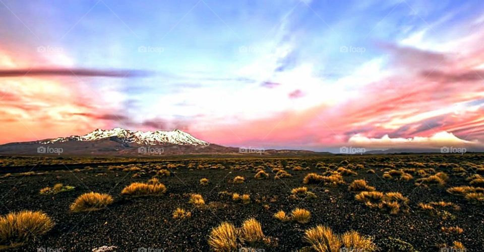 beautiful landscape at the foot of the atlas Morocco