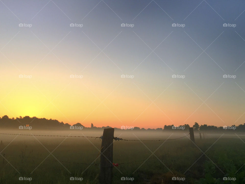 Fence around the morning mist 