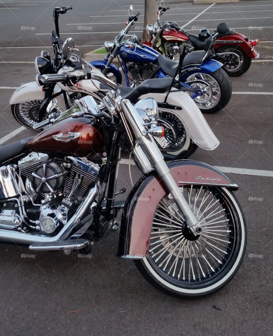 Harley Davidson  cruise  Maui