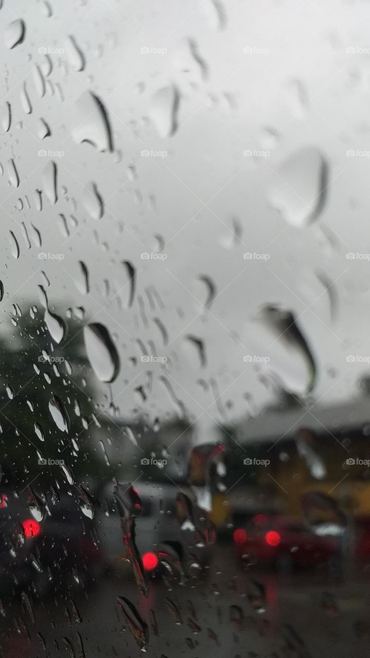 Rain