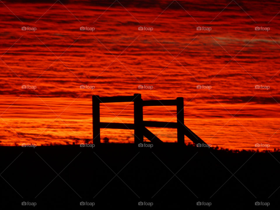 Cattle run view at sunset