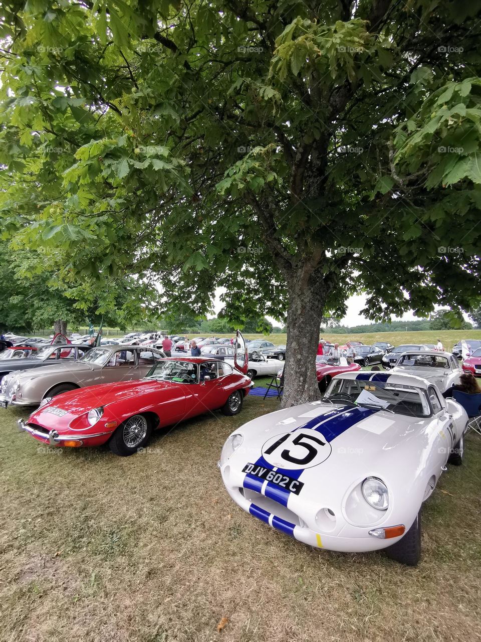 Cars with souls. Jaguar.