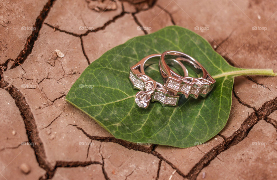 Wedding rings placed over a green leaf.