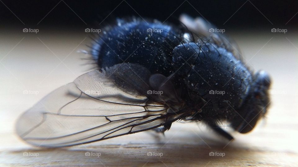 Macro on a fly
