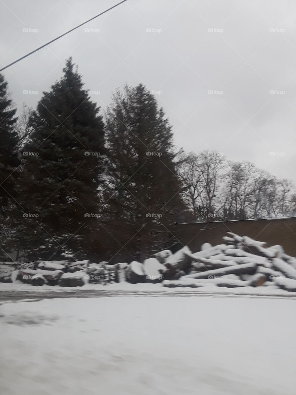 snow wall n trees