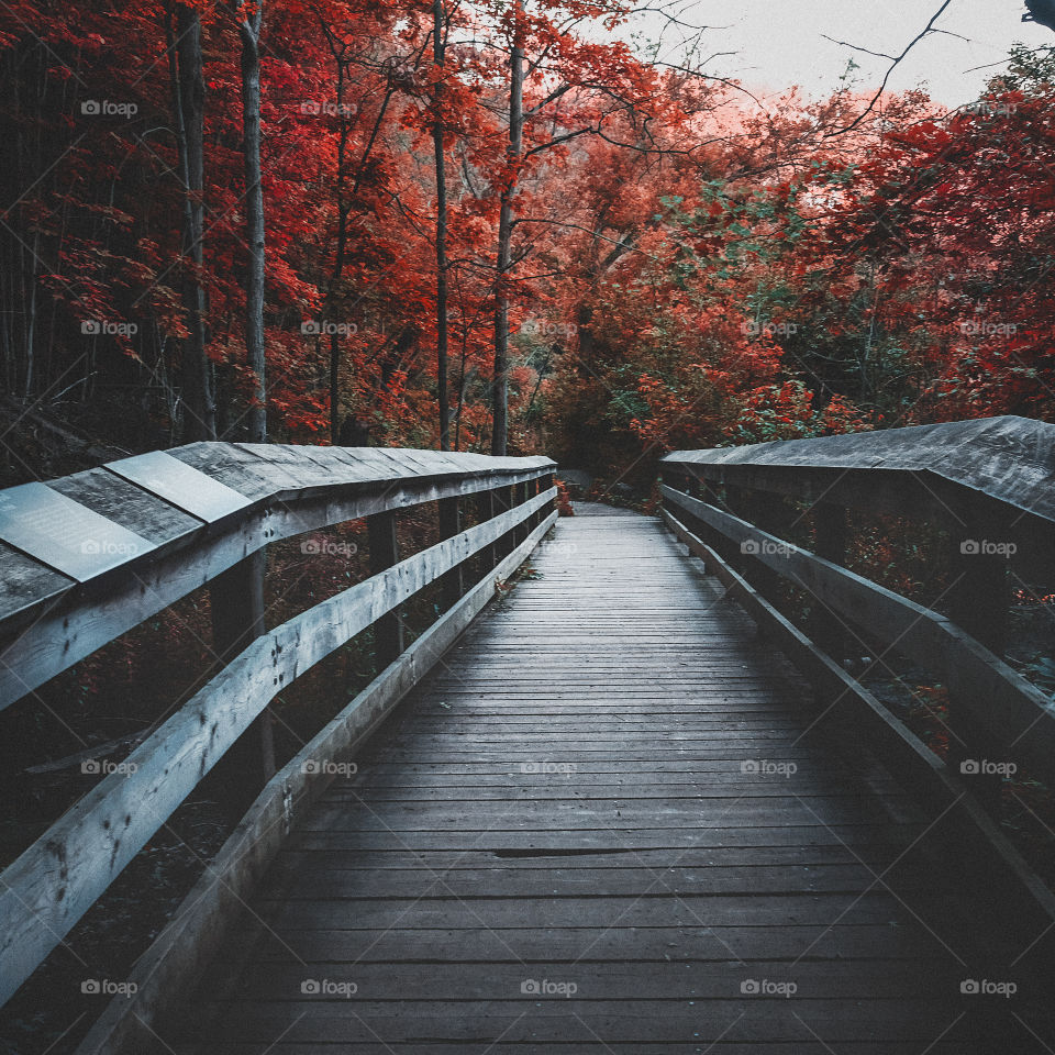 Fall season is the best.  Just look at the colors.