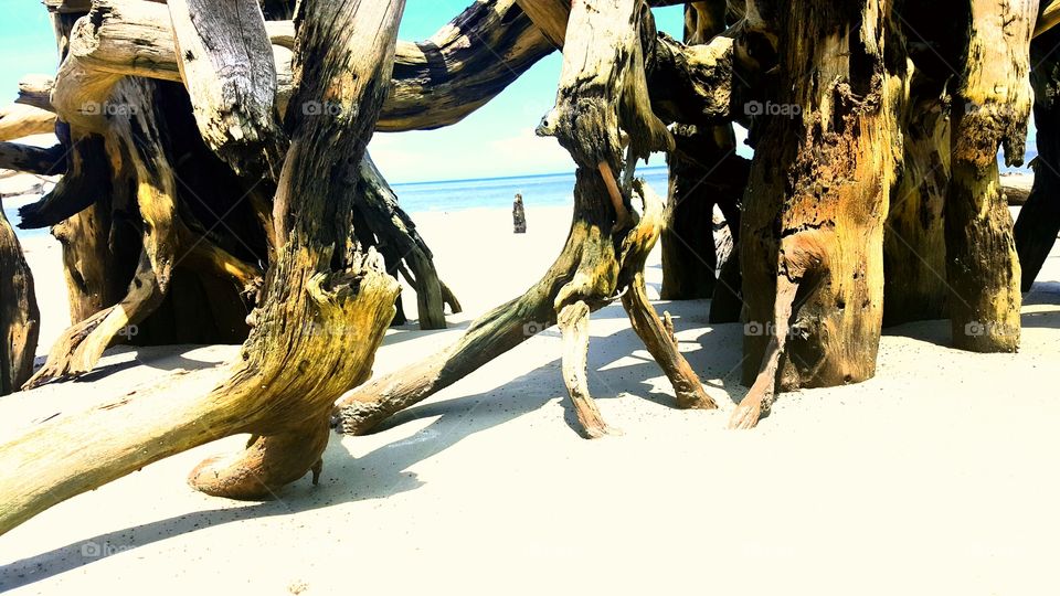 Beach Stumps