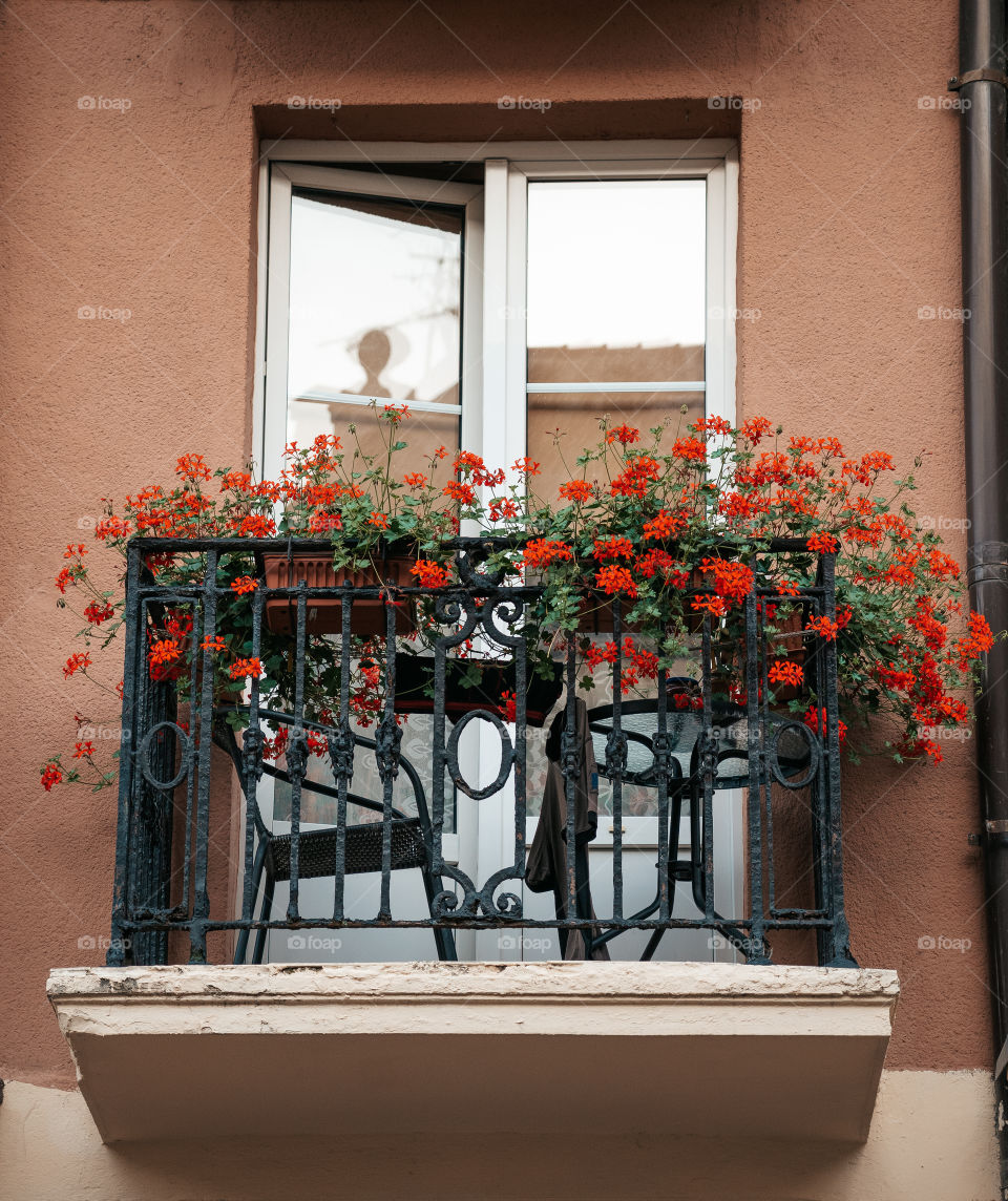 Red flowers make everything nicer.